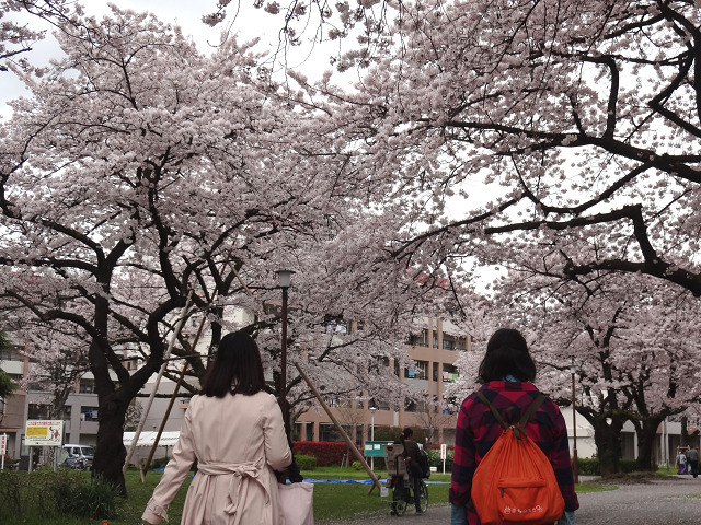20160406134300.jpg
